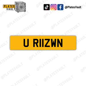 U R11ZWN - Plates Vault