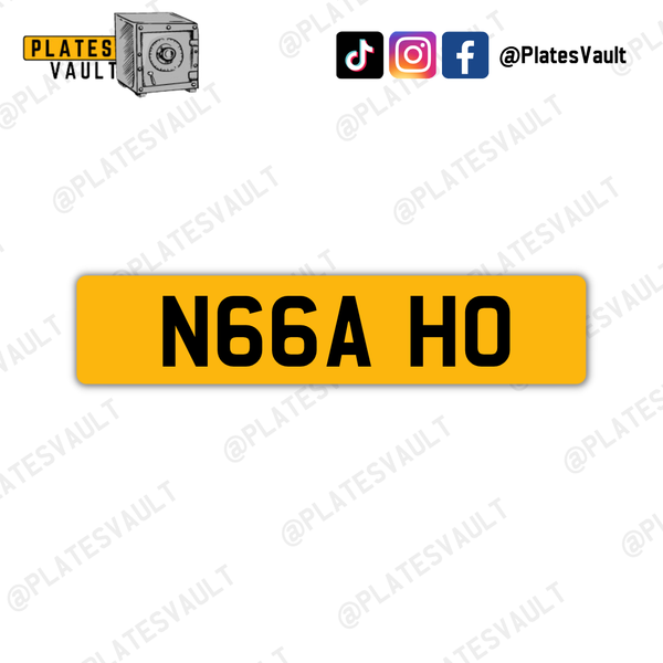 N66A HO
