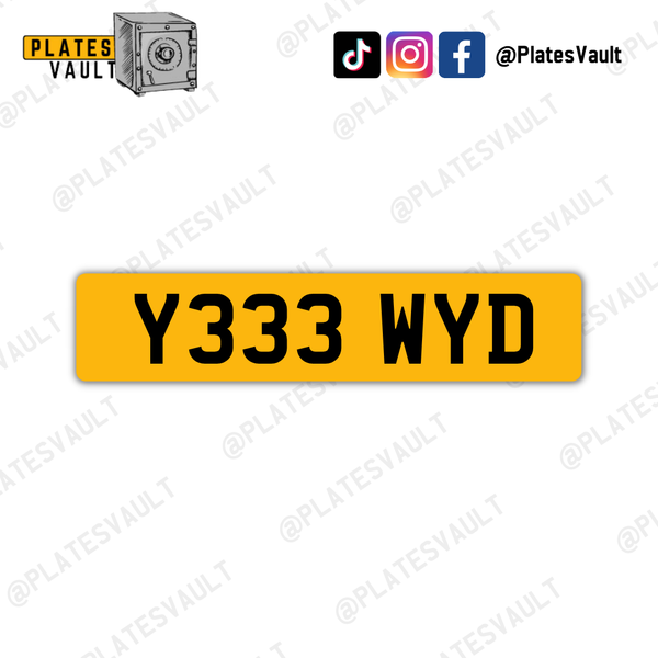 Y333 WYD