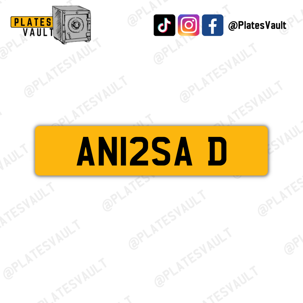AN12SA D